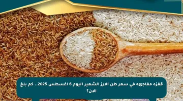 قفزة مفاجئة في سعر طن الأرز الشعير اليوم 6 أغسطس 2025.. كم بلغ الآن؟